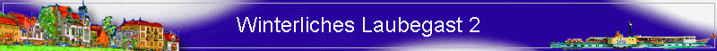 Winterliches Laubegast 2