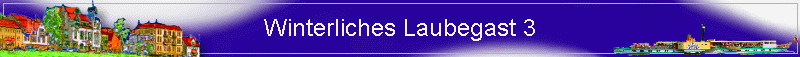 Winterliches Laubegast 3