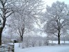 diaschau/Winterbilder/Thumbs/tn_Ld113001.jpg
